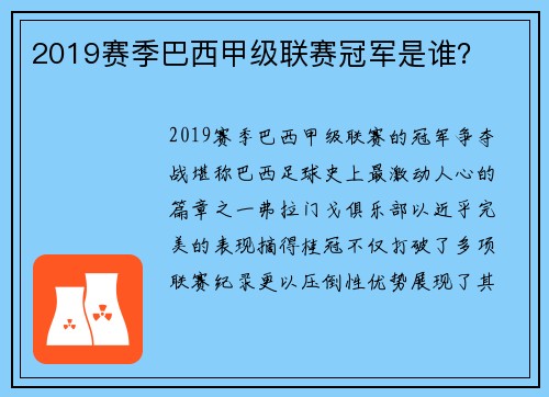 2019赛季巴西甲级联赛冠军是谁？